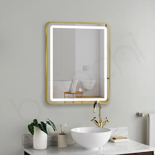 Eden LED Rectangle Frame Mirror Brushed Gold
